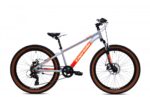 BICIKL CAPRIOLO LC 240 sivo - oranž