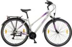 BICIKL POLAR ATHENA CITY silver-purple