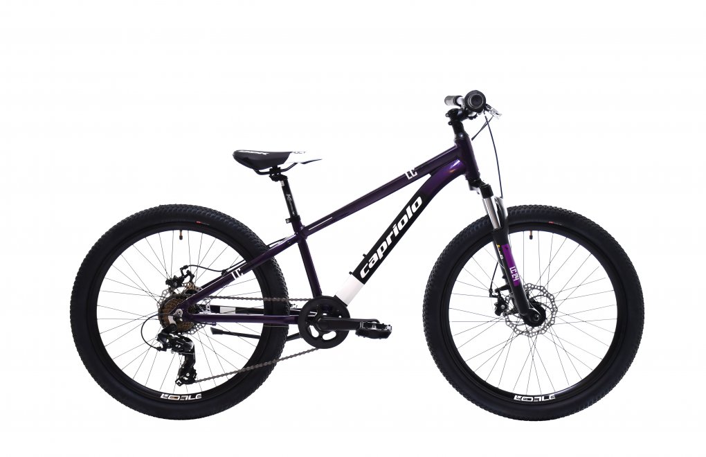 925513-lc-240-violet-black-tyres-a BICIKL CAPRIOLO LC 240ljubičasto - plavo - Image 1