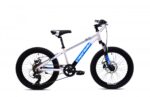 Bicikl Capriolo LC KID 200 sivo-plavo
