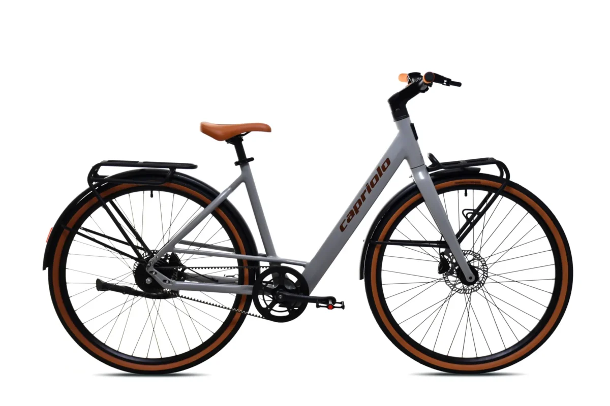 E-bike capriolo Belt drive sivo-bež