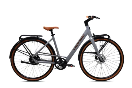 E-bike capriolo Belt drive sivo-bež